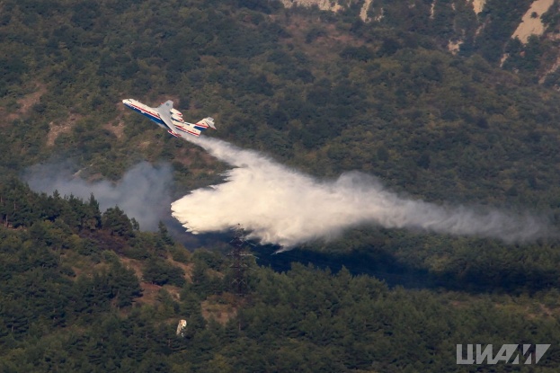 ICAO supports Russia’s initiative on international forest fire fighting